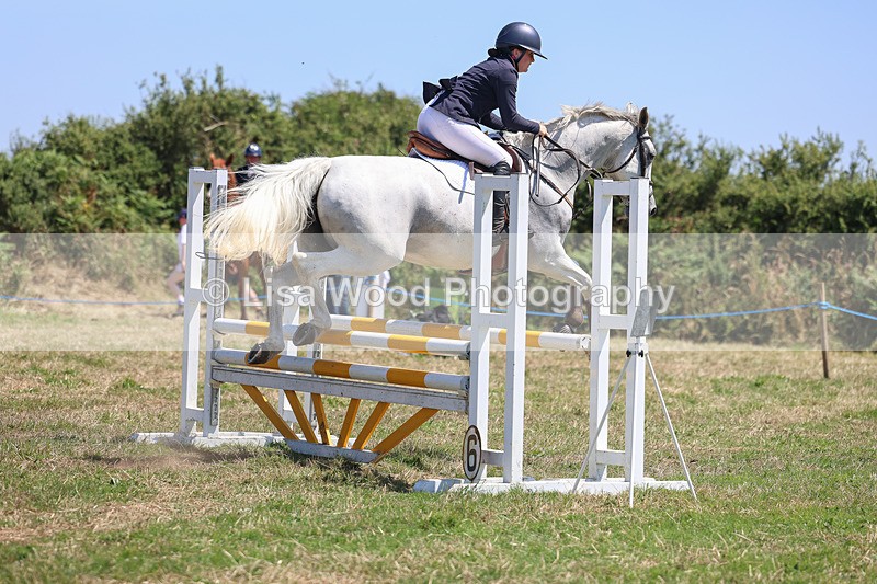 3E7A4401 - Class 10: Senior British Novice/90cm open