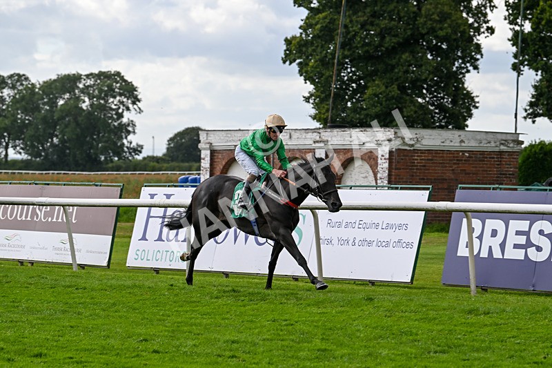 090824-Race 5-Quietness-4766 - Race 5