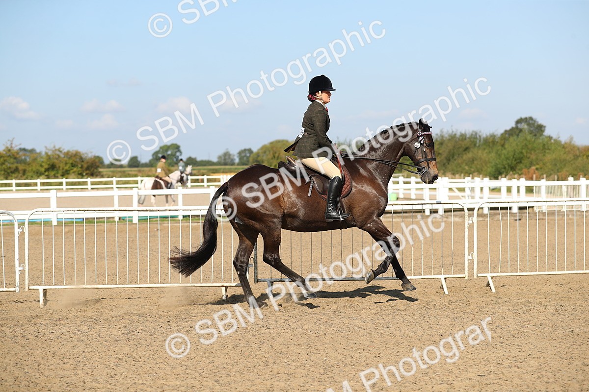 SBM_02229 - Class 43 Ridden Competition Horse/Pony
