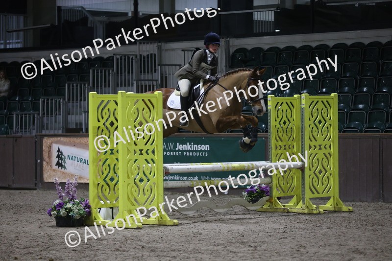 20260125-5024 - Class 5 - 80cm