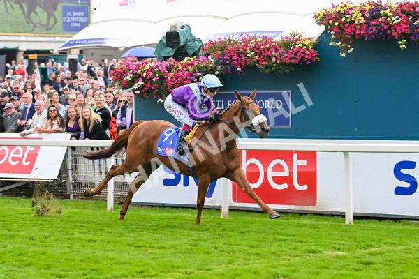 240824-Race 1-See The Fire-1000 - Race 1 1.50pm Sky Bet Strensall Stakes