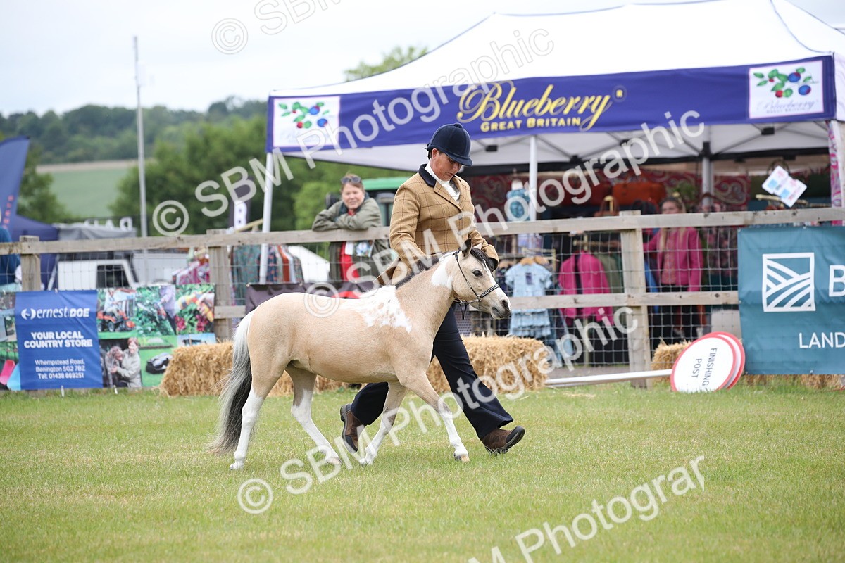 SBM_03932 - Class 23-25 - British Miniature Horse of the Year