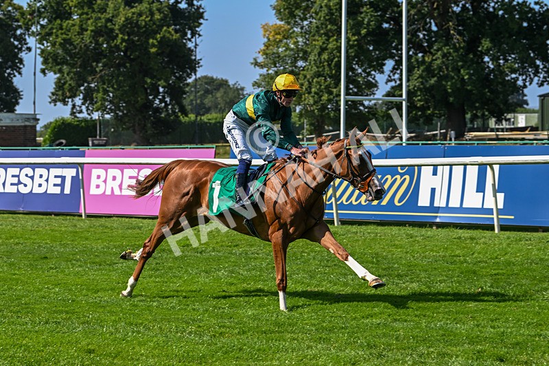 300824-Race 2-Consent-5732 - Race 2