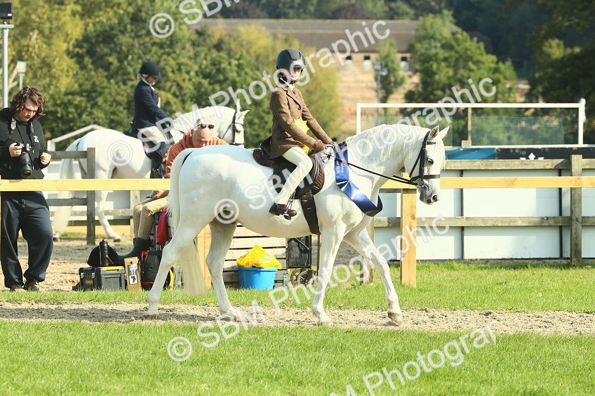 SBM_61078 - Starter Supreme Championship