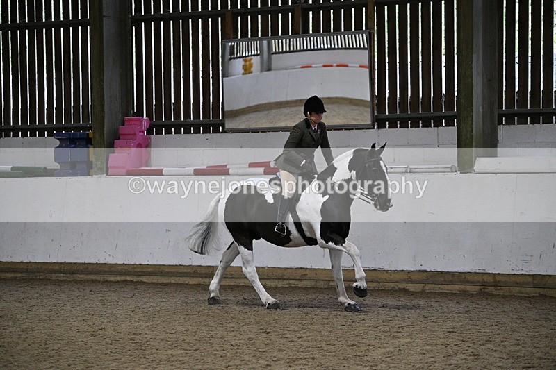 WJ7_4403 - Class 17 Ridden Cob