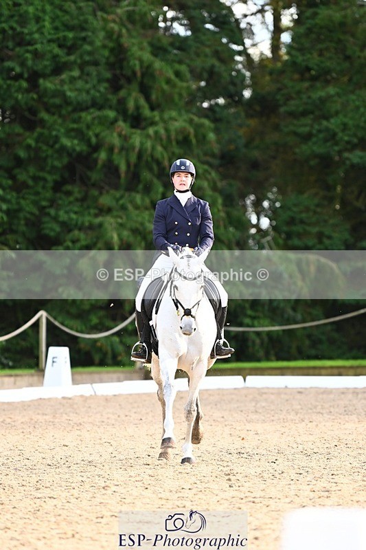 231021-155848-20982 - 262-GOOD.BOY.ALEX-Tara.Jefferies-DR