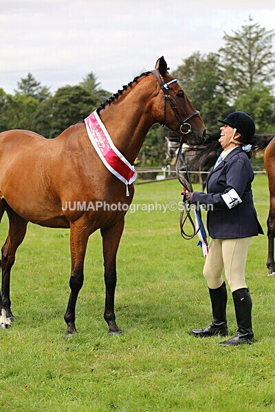 SIAL7472 - championships