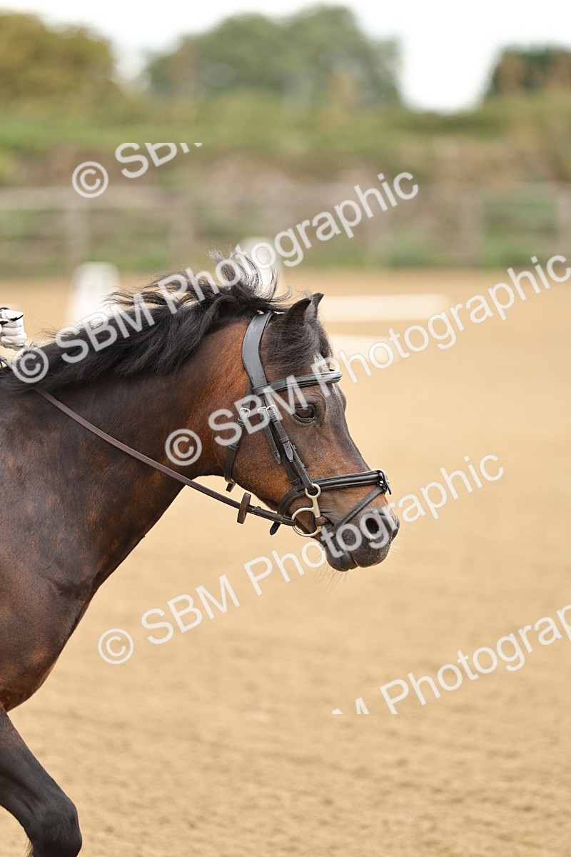 SBM_002069 - Intro 1-2