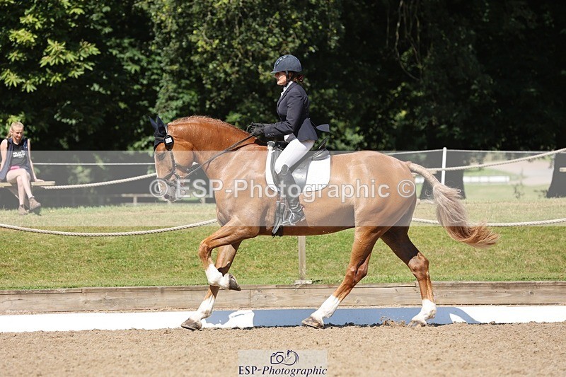 240719-103952-00765 - 223-Deborah_Randall-Sandy's_Bertie