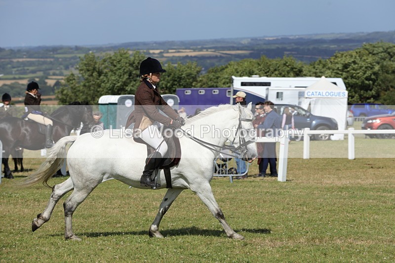 1X9A5924 - Class 41:. NPS New Forest & Connemara