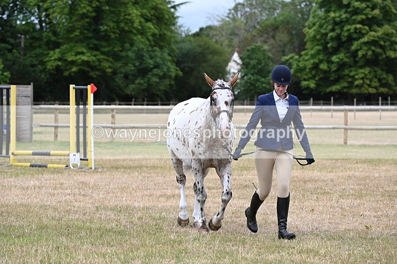WJ6_4293 - Class 10 Coloured In-hand