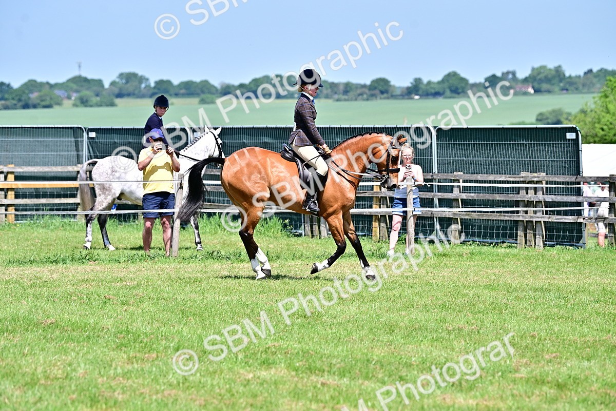 SBM_15357 - Class 95-97 - BSPS LHS Performance Ponies