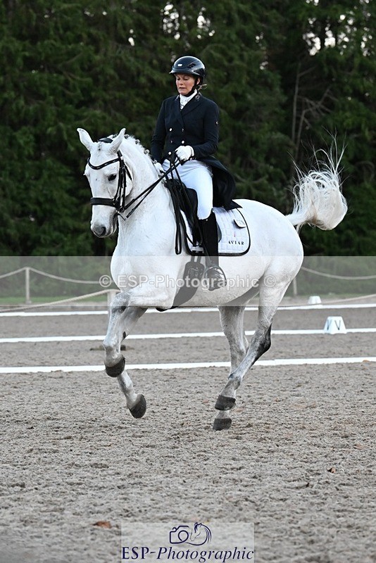 231110-162903-02635 - Cls 14 FEI Grand Prix