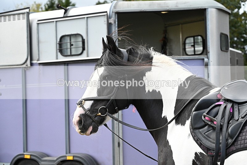 WJ7_6719 - Berks & Bucks at Blandy’s Farm 31-08-25