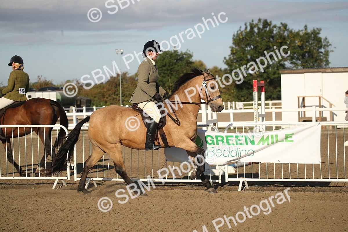 SBM_11514 - Class 502 - Riding Club Horse