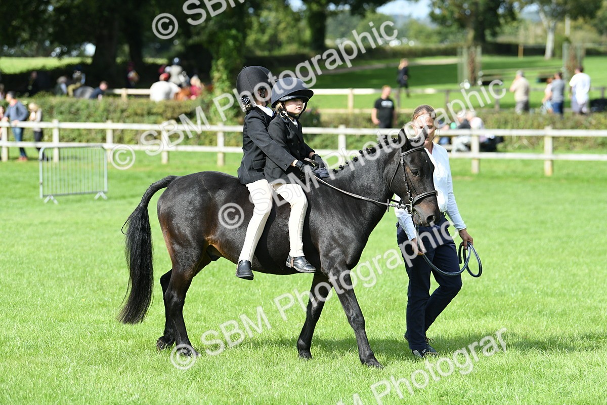 SBM_46972 - S12 - Family Horse & Pony