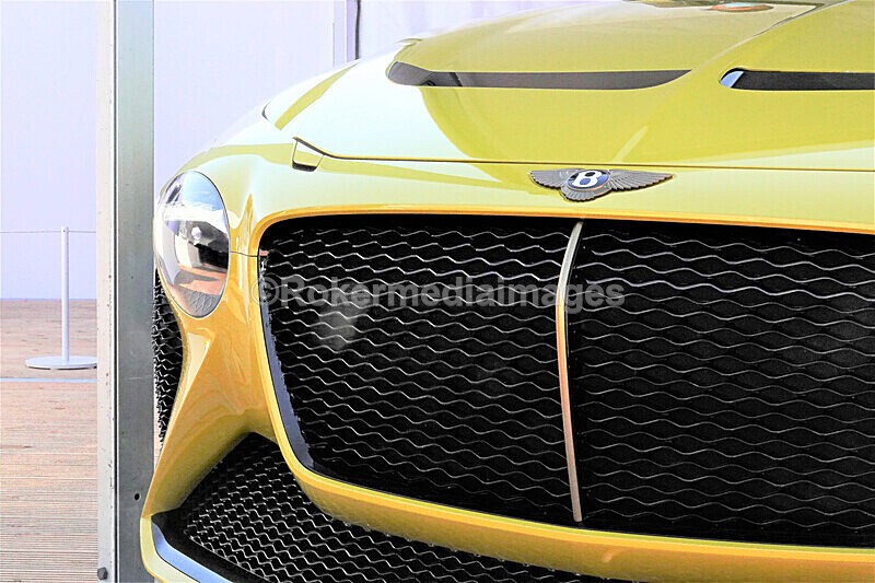 Pete Wilson Salon Prive-119 - Salon Prive SEPT 2020