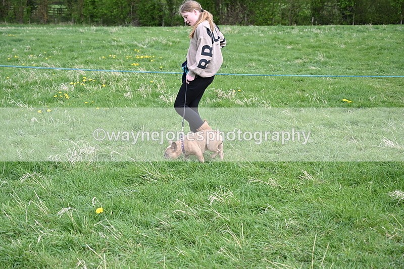 WJ6_8077 - Class 2 Best Pedigree