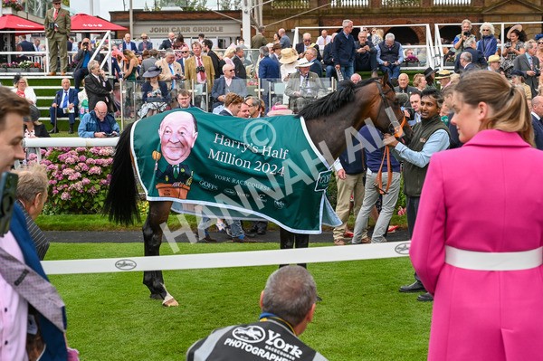 220824-Race 2-Diligently-6605 - Race 2 2.25pm Harry's Half Million By Goffs Premier Yearling Stakes