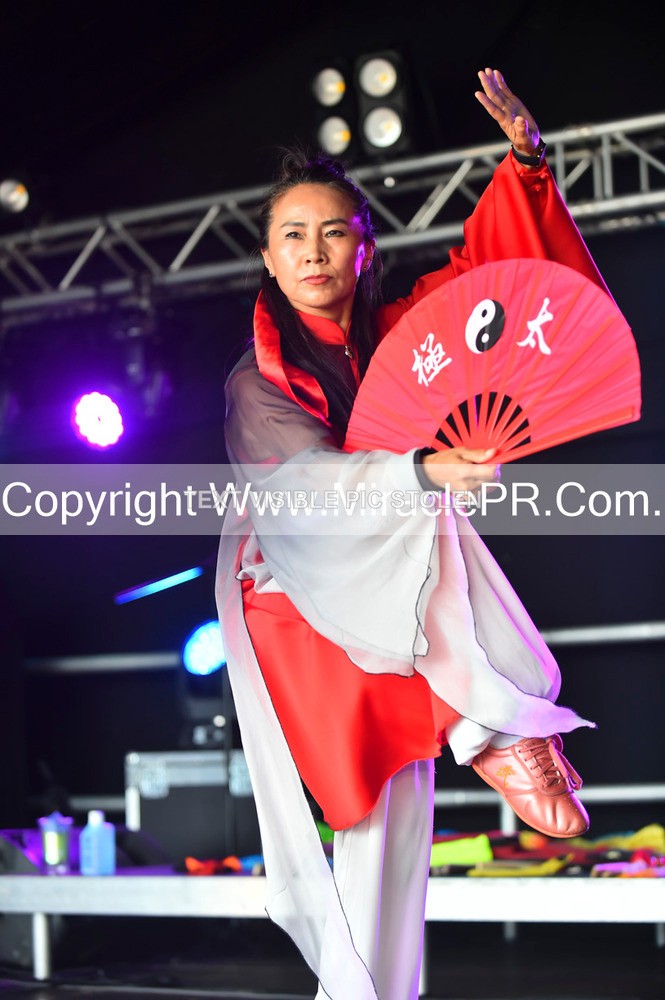 SH4_1657 - Tai Chi with Lisa Kay.