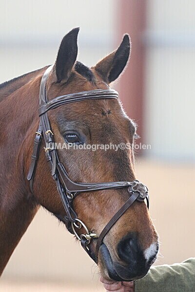 SIAL0116 - Indoor Classes