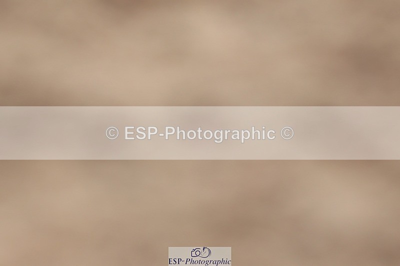 250622-125500-14955 - Cls 50 Elementary 5 Start to 13.10