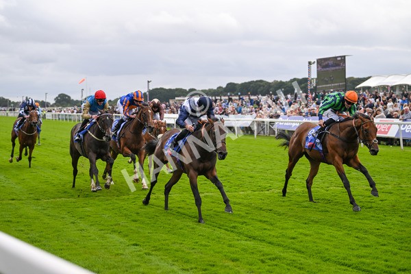 220824-Race 1-Celandine-6597 - Race 1 1.50pm Sky Bet Lowther Stakes