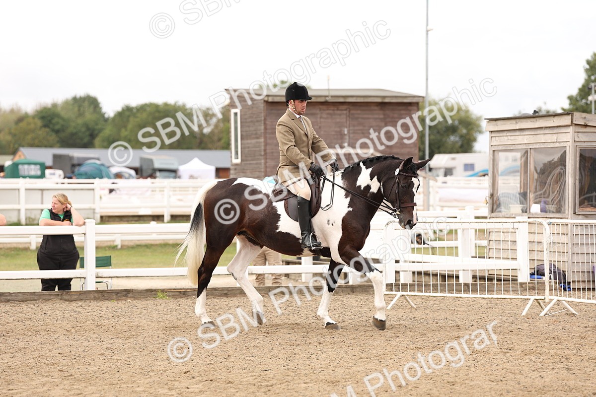 SBM_02804 - Class 53 - Ridden Competition Horse/Pony