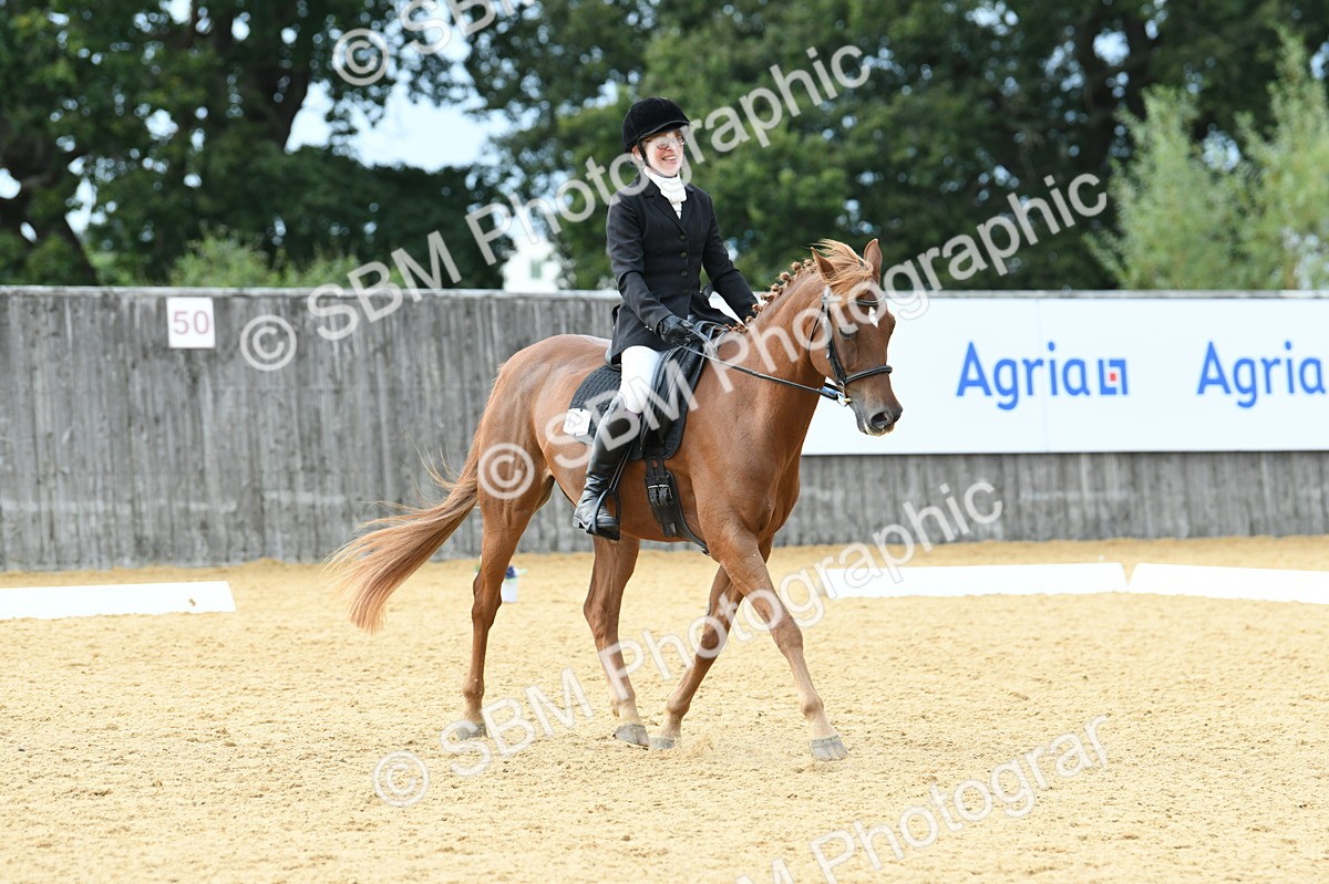 SBM_10982 - D28 Elementary Taster Elementary 42