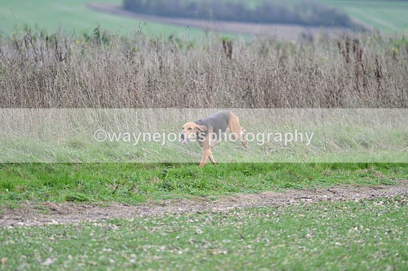 WJ7_2504 - Camera A