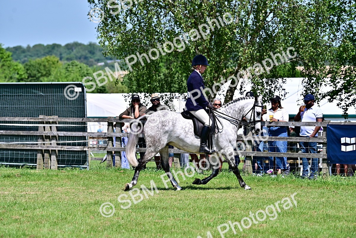 SBM_17394 - Class 95-97 - BSPS LHS Performance Ponies