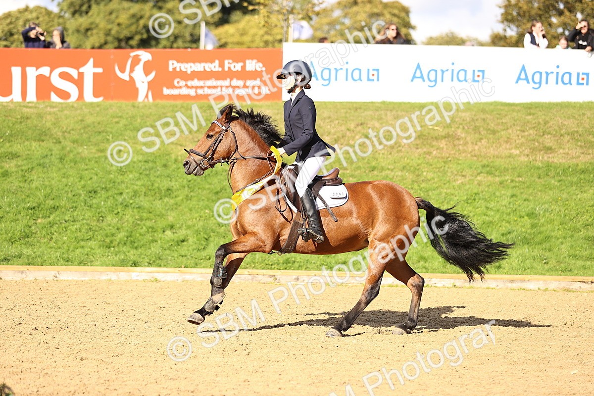 SBM_48303 - J9 - Junior Pony 70cm Championship