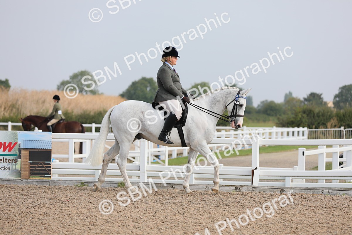 SBM_10850 - Class 304 Ridden Part Bred Horse/Pony