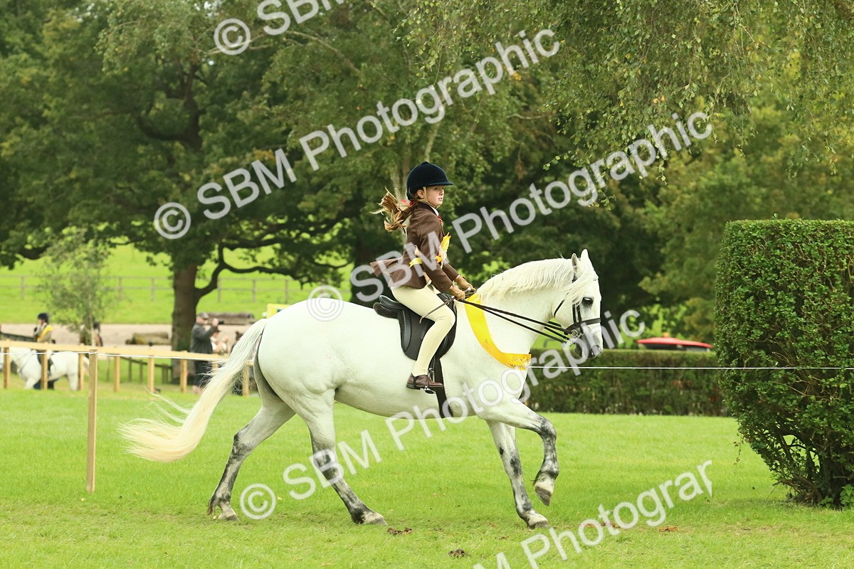 SBM_75034 - Ridden Pony Supreme Championship