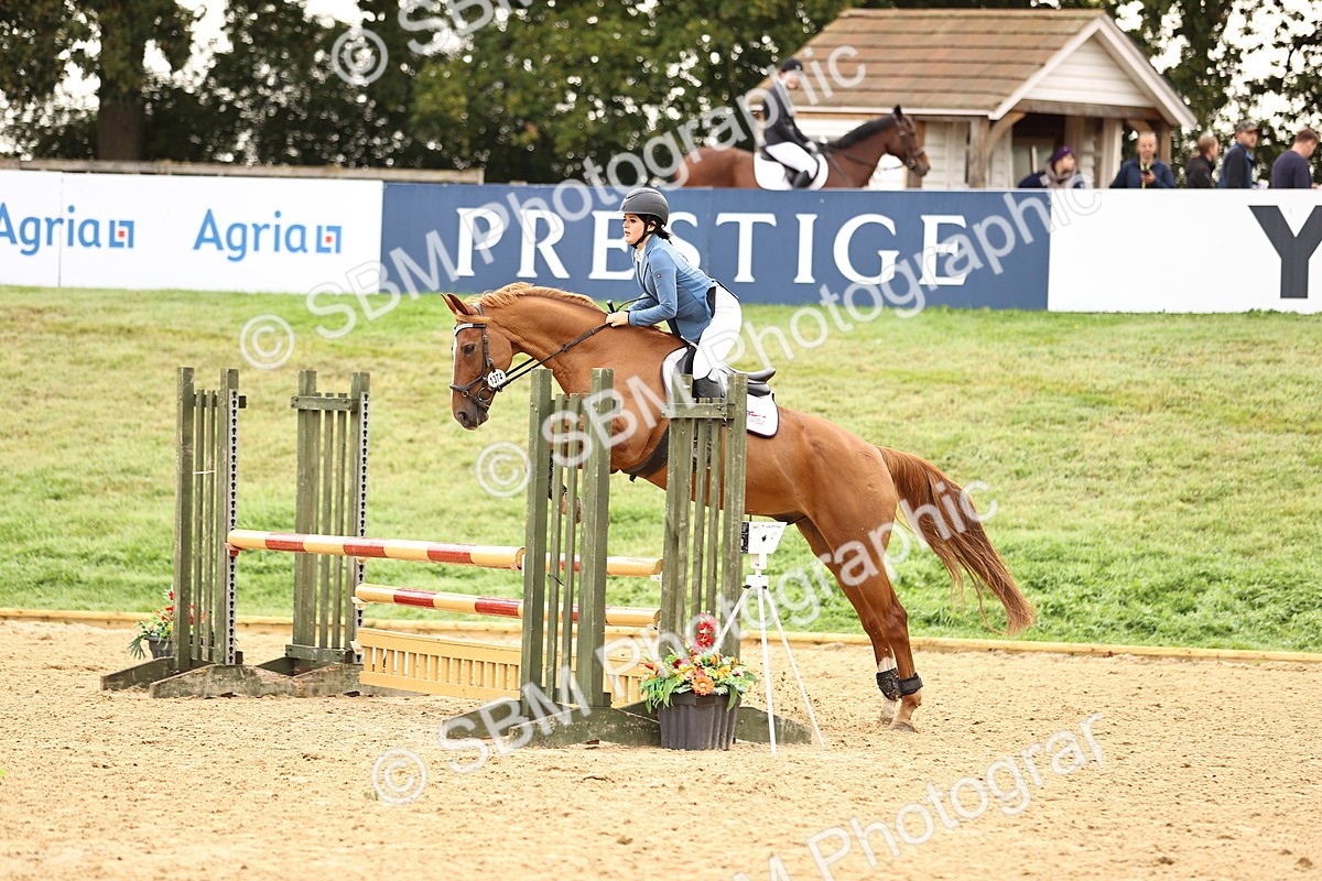 SBM_58523 - J41 - Grand Tour Horse & Pony 95cm