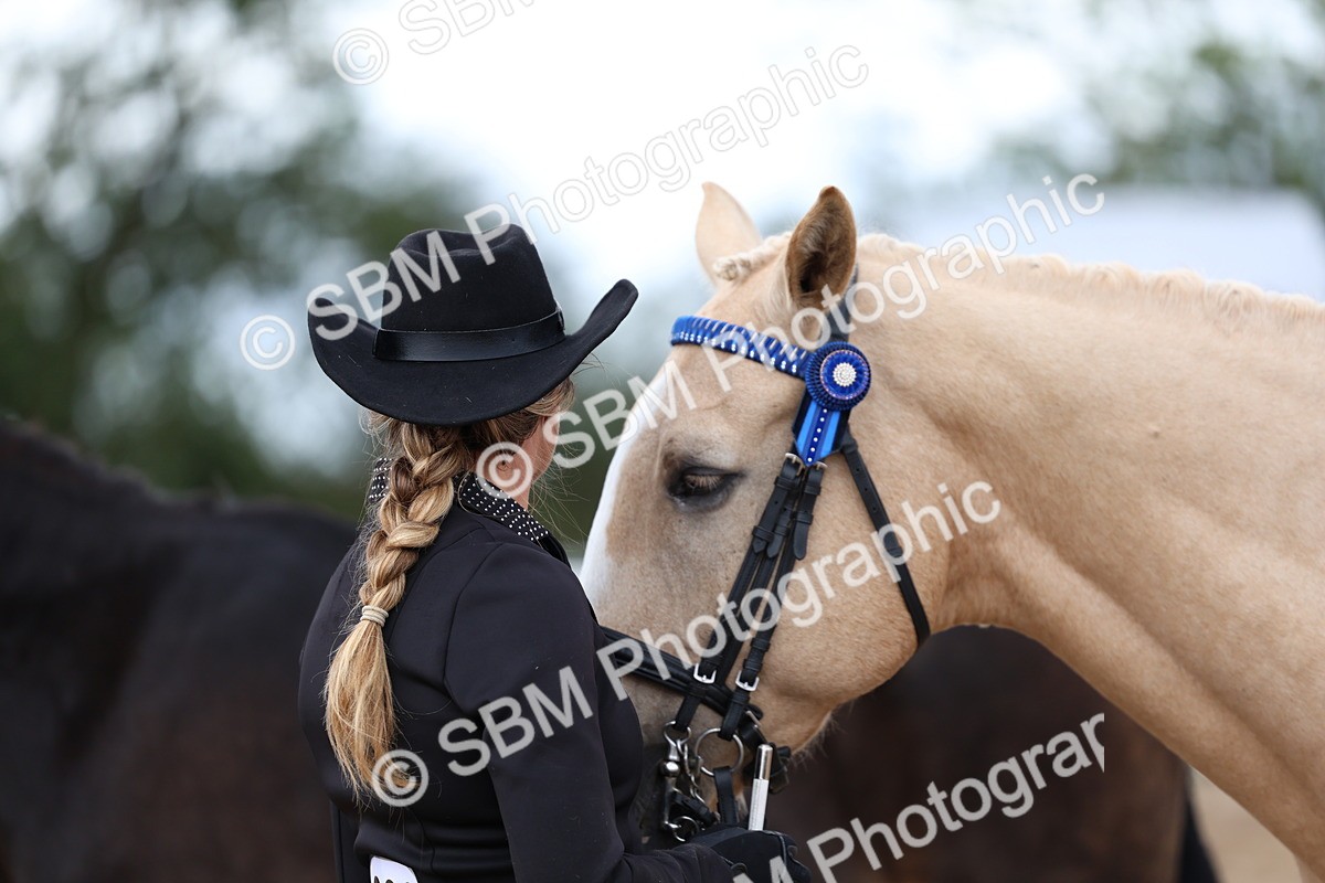 SBM_04502 - Class 26 - IH Foreign Breeds - Part Bred