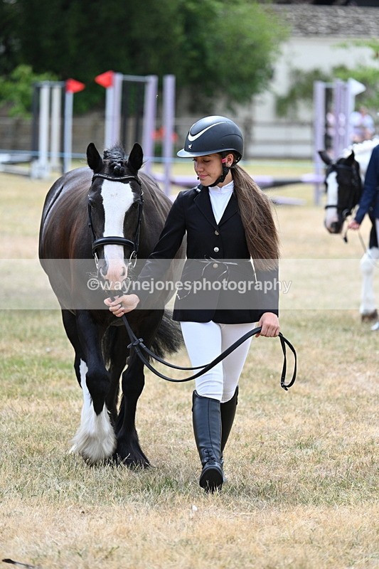 WJ7_1399 - Class 4 Prettiest Mare up to 14.2hh in hand