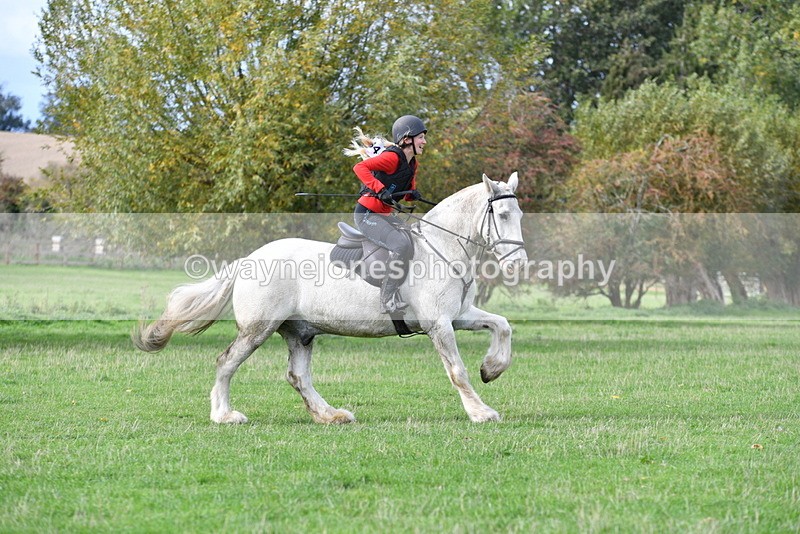 WJ5_0593 - Time 13:59 to 14:28