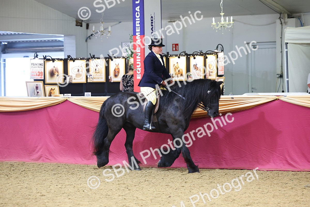 SBM_23621 - Class 904 - Supreme Final Ridden Diamond