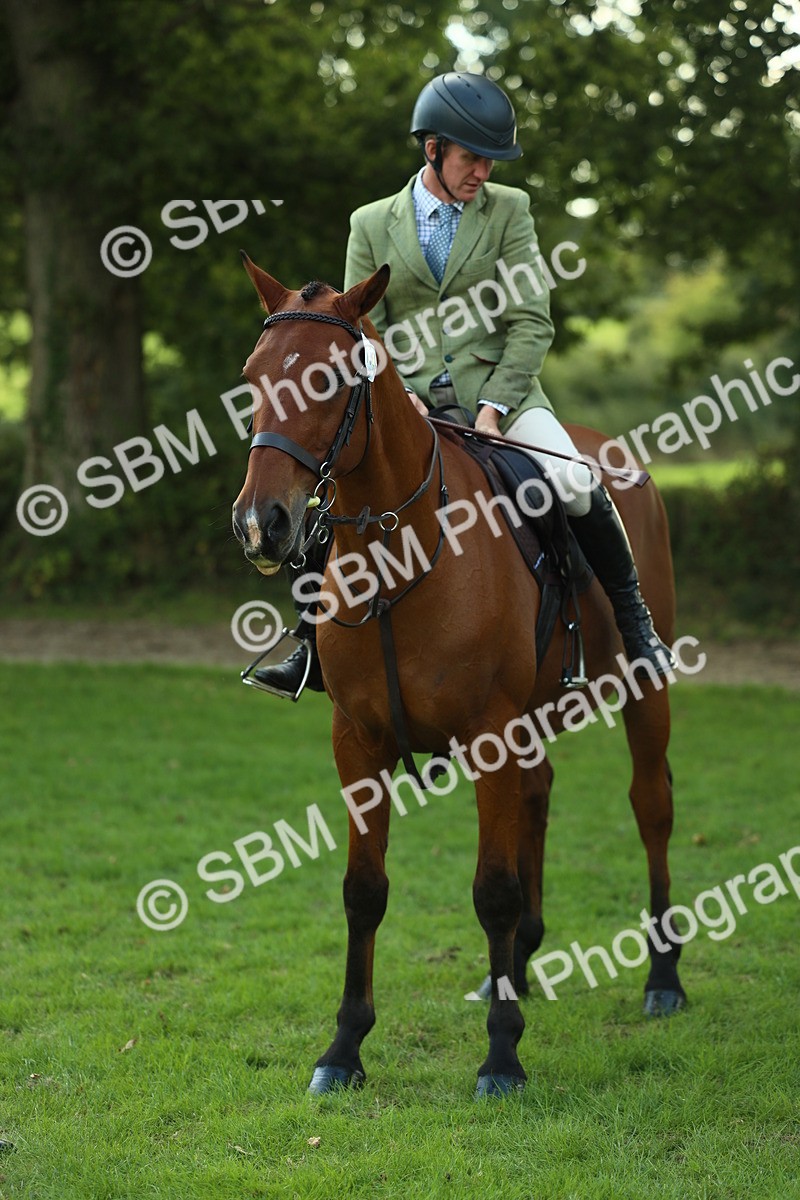 SBM_50736 - S33 - Working Hunter & Working Show Horse