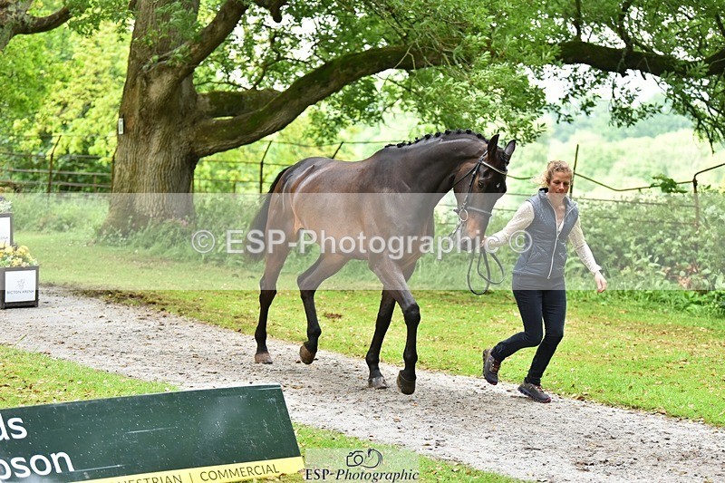 240522-170432-01366 - 237-UNDERDOG_Z-Izzy_Taylor