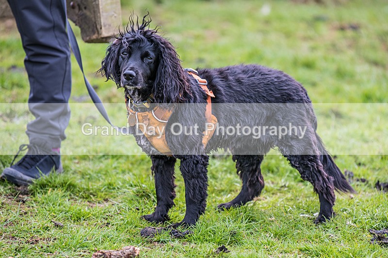 Isel Cross-13 - Isel Cross Race Saturday 19th April 2025