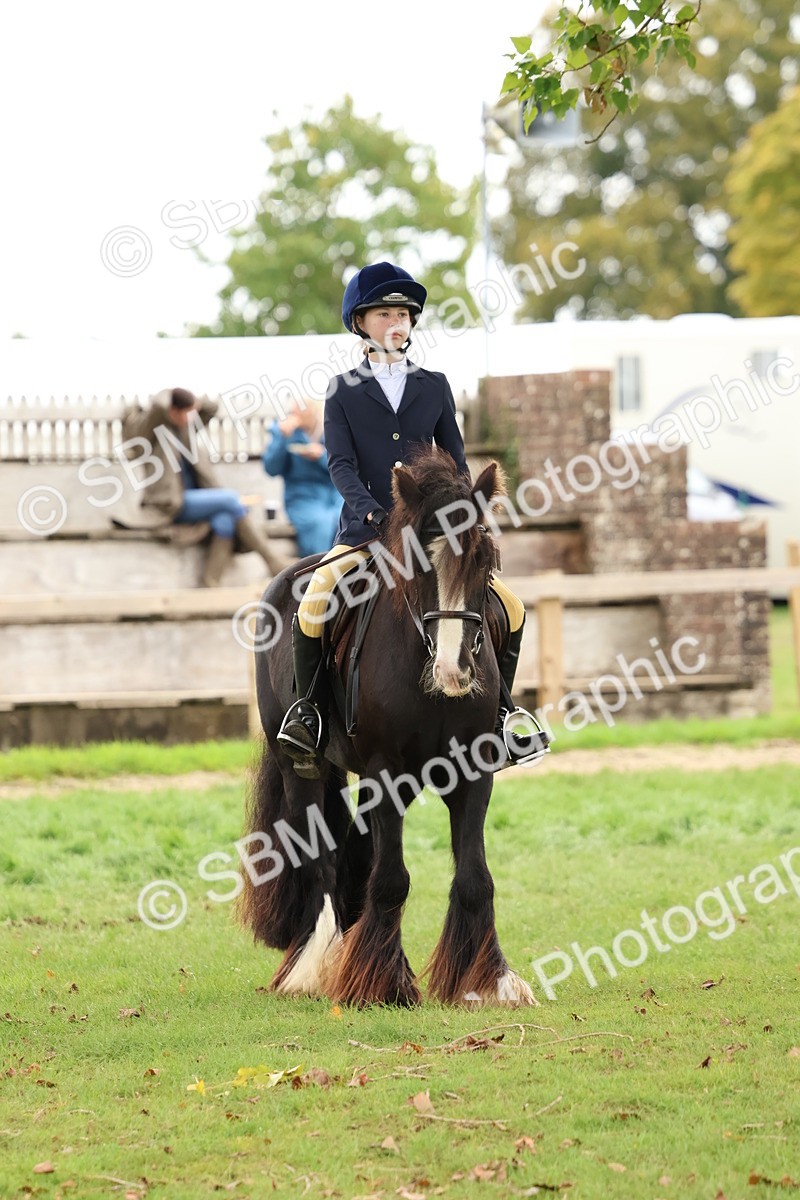 SBM_67555 - S60 - Mini Show Cob Ridden
