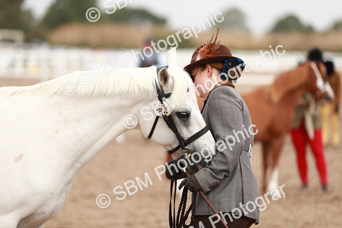 SBM_12538 - Class 207 IH M&M