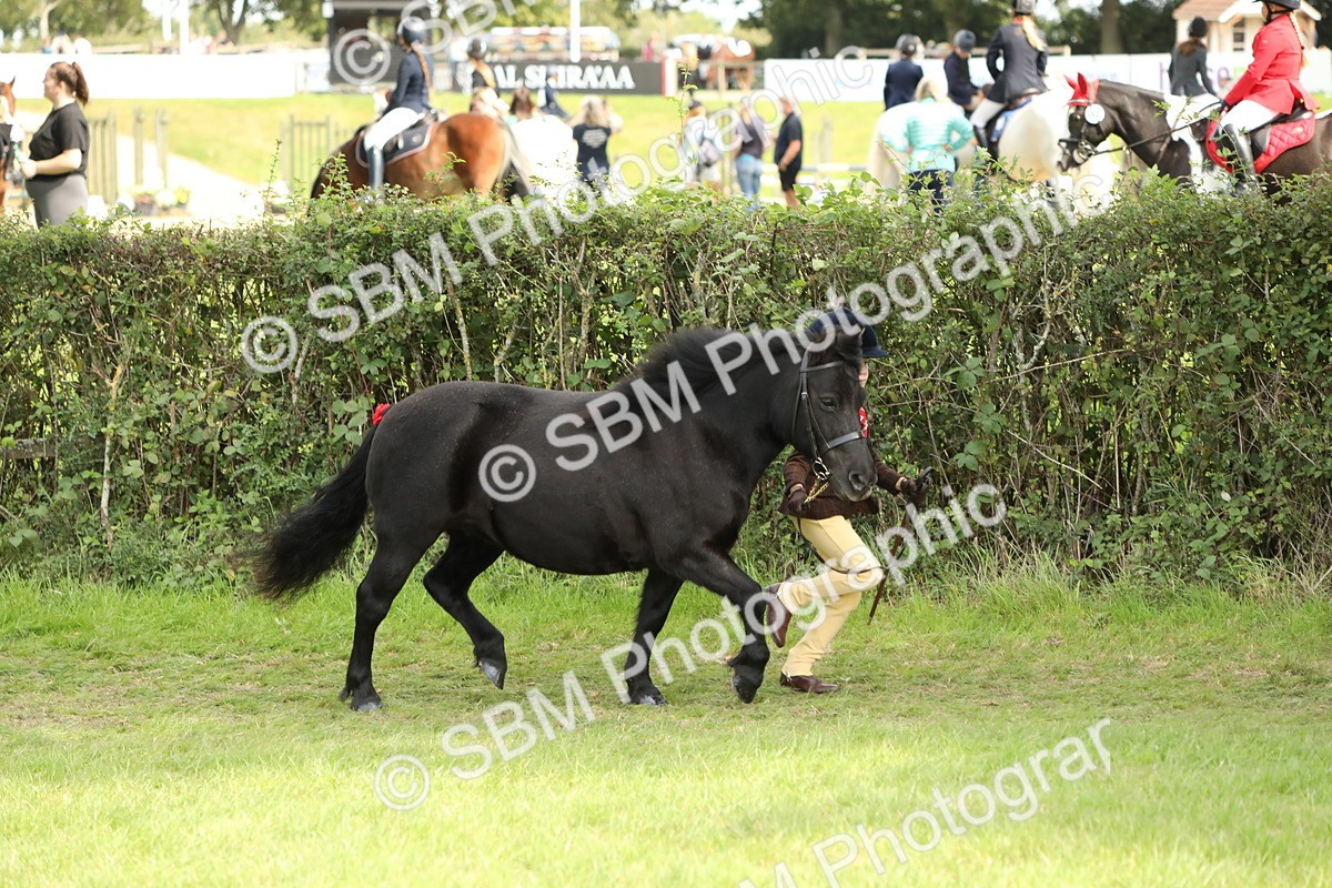 SBM_67707 - S39 - Junior Handler 8  Years & Under