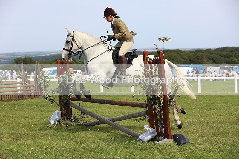 JPP_3662 - Class 23: Working Hunter 80cm