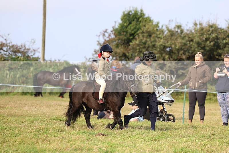 3E7A3677 - Class 2: Lead rein