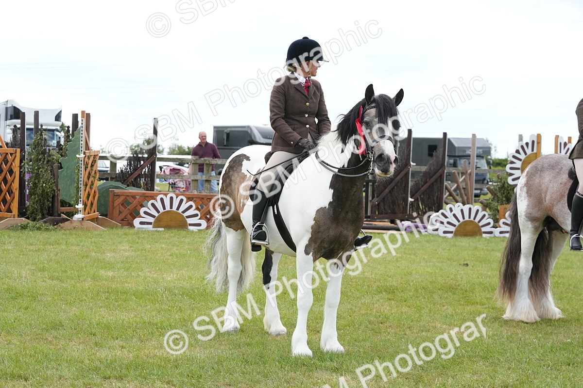 SBM_17675 - Class 107-108 - LIHS BSPS Performance Coloured Horse Pony