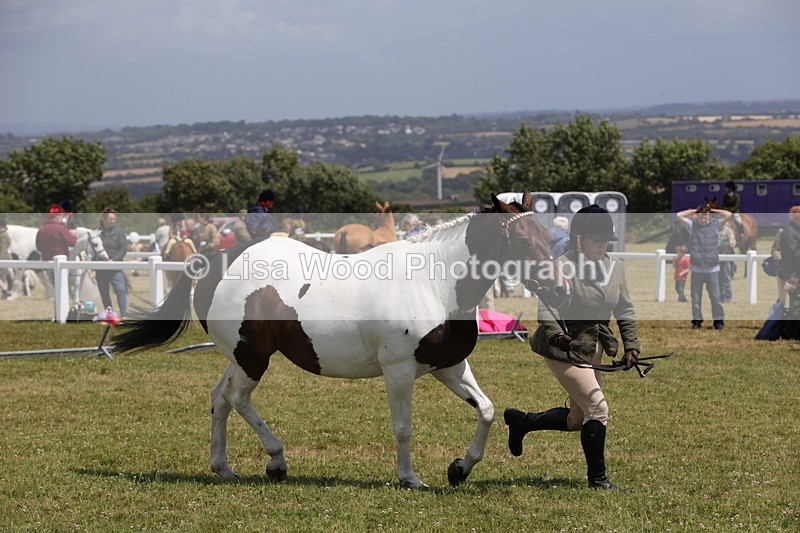 1X9A4823 - Class 35: Veteran In Hand