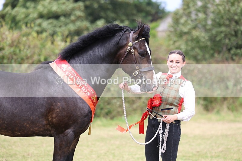 3E7A5744 - In Hand Championship